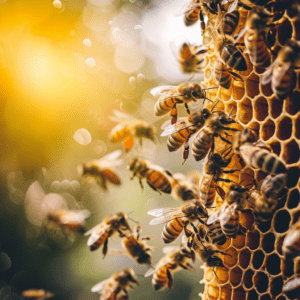 honeybees are making honey